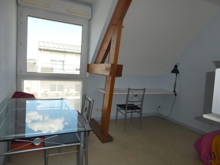TOURS QUARTIER ST ELOI RABELAIS